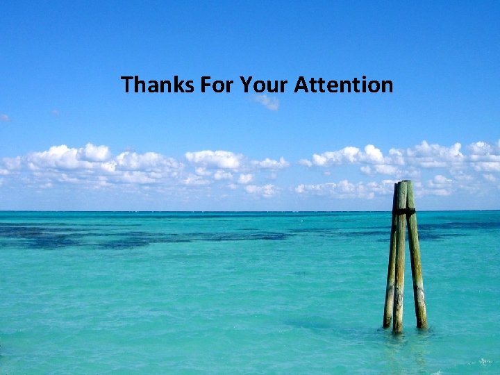 Thanks For Your Attention 