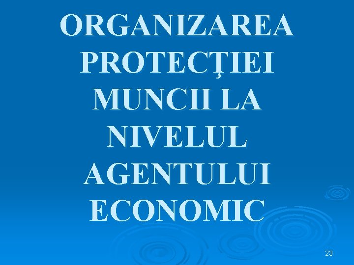 ORGANIZAREA PROTECŢIEI MUNCII LA NIVELUL AGENTULUI ECONOMIC 23 