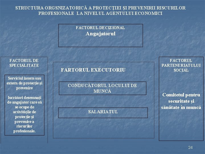 STRUCTURA ORGSNIZATORICĂ A PROTECŢIEI ŞI PREVENIRII RISCURILOR PROFESIONALE LA NIVELUL AGENTULUI ECONOMICI FACTORUL DECIZIONAL