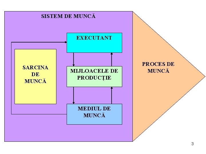 SISTEM DE MUNCĂ EXECUTANT SARCINA DE MUNCĂ MIJLOACELE DE PRODUCŢIE PROCES DE MUNCĂ MEDIUL