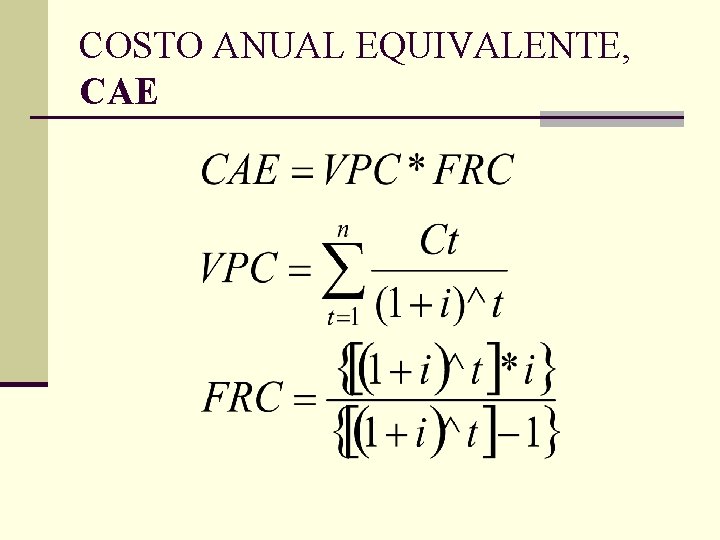 COSTO ANUAL EQUIVALENTE, CAE 