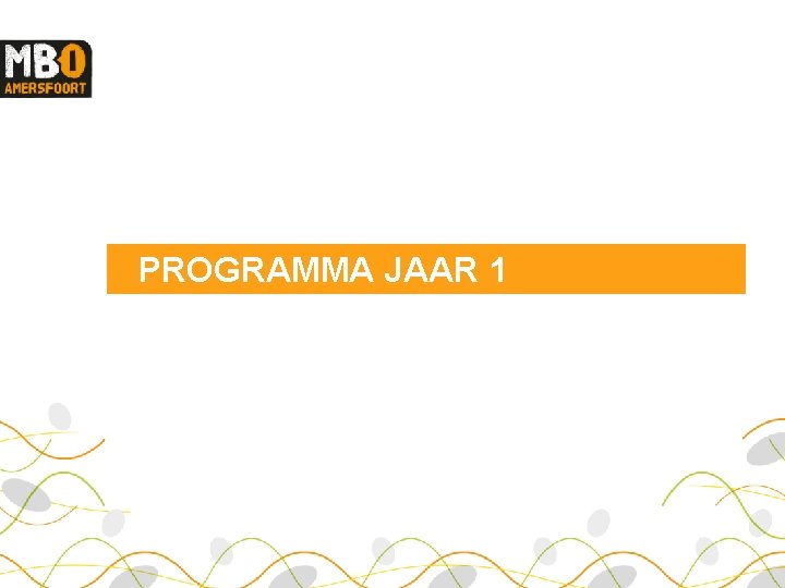 PROGRAMMA JAAR 1 