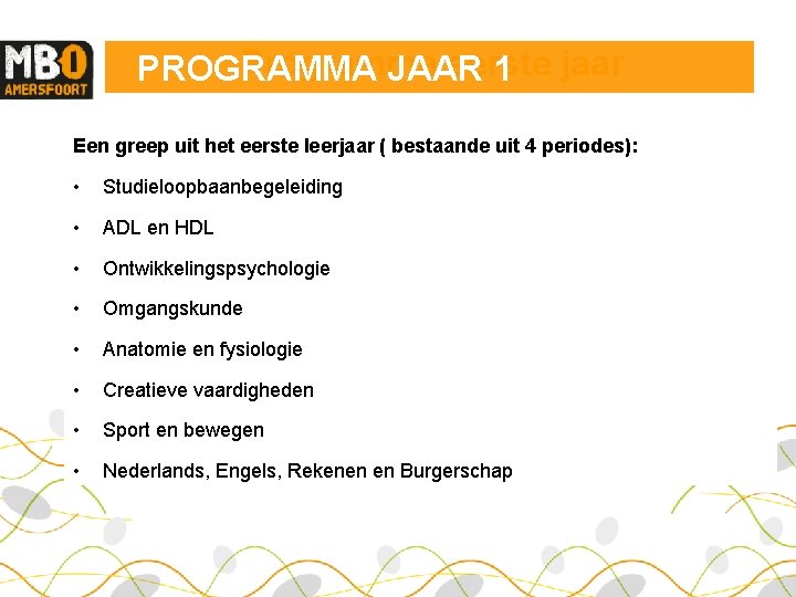 Programma eerste PROGRAMMA JAAR 1 jaar Een greep uit het eerste leerjaar ( bestaande