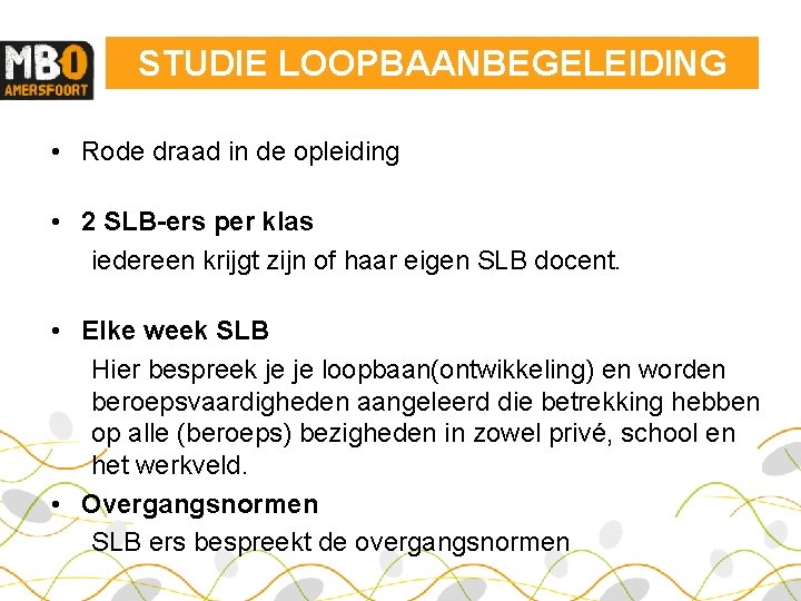 STUDIE LOOPBAANBEGELEIDING • Rode draad in de opleiding • 2 SLB-ers per klas iedereen