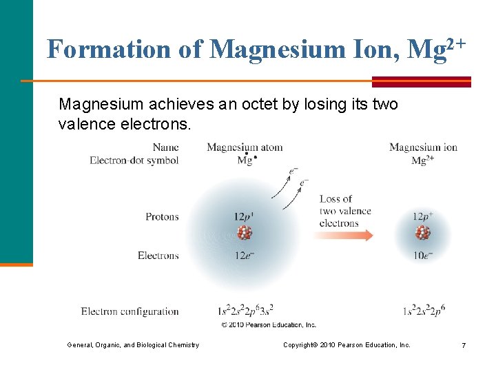Formation of Magnesium Ion, Mg 2+ Magnesium achieves an octet by losing its two