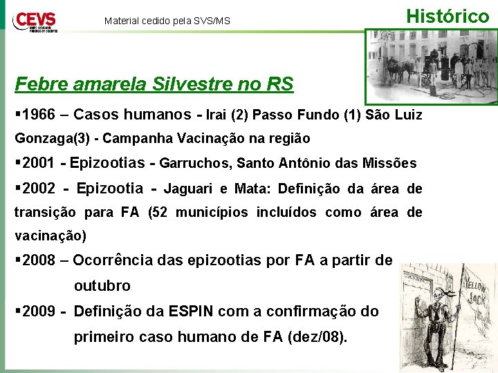 Material cedido pela SVS/MS Histórico Febre amarela Silvestre no RS § 1966 – Casos
