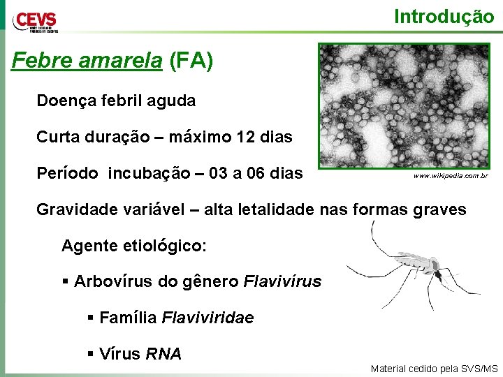 Introdução Febre amarela (FA) Doença febril aguda Curta duração – máximo 12 dias Período