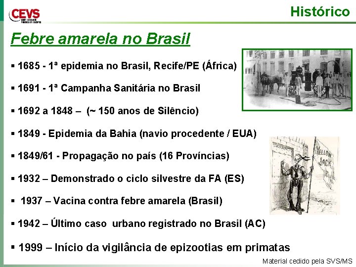 Histórico Febre amarela no Brasil § 1685 - 1ª epidemia no Brasil, Recife/PE (África)