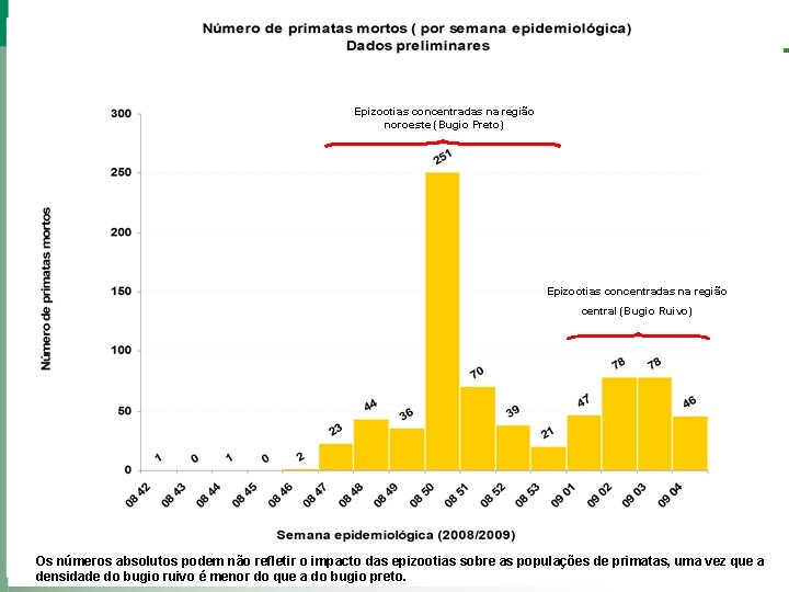 Epizootias concentradas na região noroeste (Bugio Preto) Epizootias concentradas na região central (Bugio Ruivo)