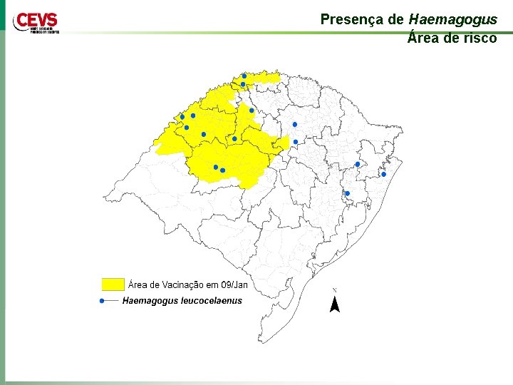 Presença de Haemagogus Área de risco 