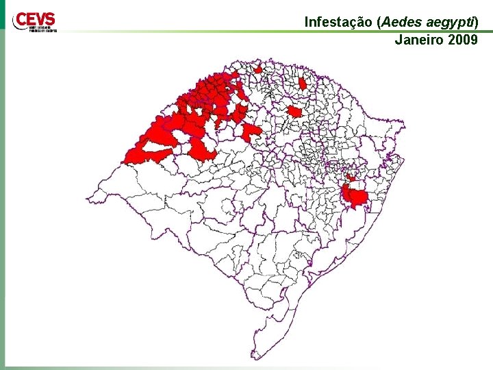 Infestação (Aedes aegypti) Janeiro 2009 