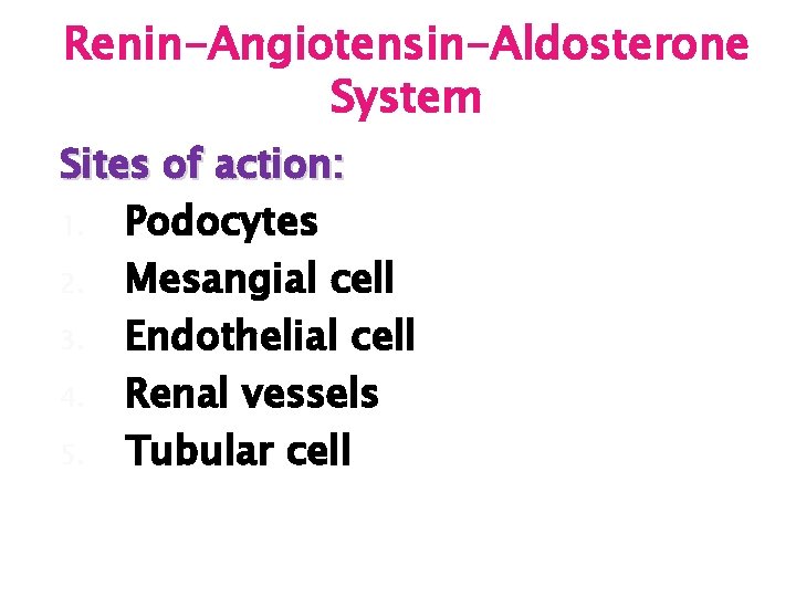 Renin-Angiotensin-Aldosterone System Sites of action: 1. Podocytes 2. Mesangial cell 3. Endothelial cell 4.