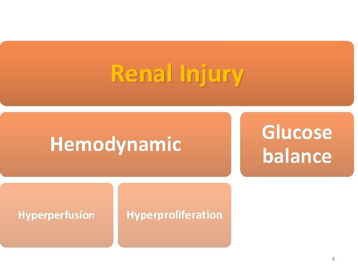 Renal Injury Hemodynamic Hyperperfusion Glucose balance Hyperproliferation 4 