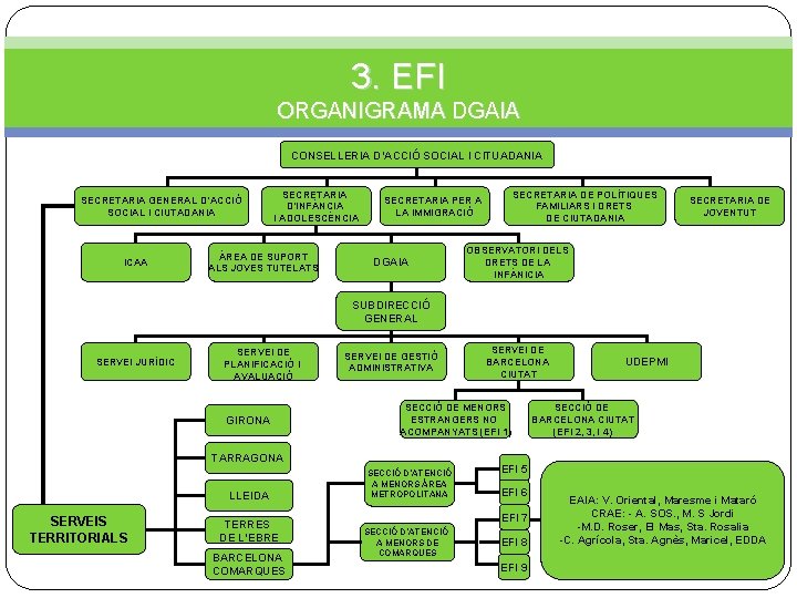 3. EFI ORGANIGRAMA DGAIA CONSELLERIA D’ACCIÓ SOCIAL I CITUADANIA SECRETARIA GENERAL D’ACCIÓ SOCIAL I