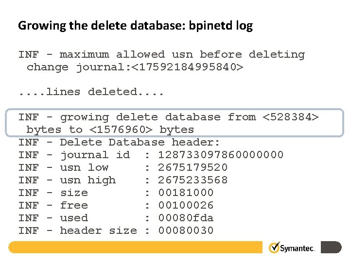 Growing the delete database: bpinetd log INF - maximum allowed usn before deleting change