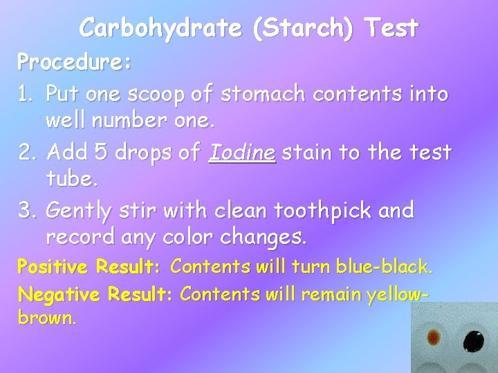 Carbohydrate (Starch) Test Procedure: 1. Put one scoop of stomach contents into well number