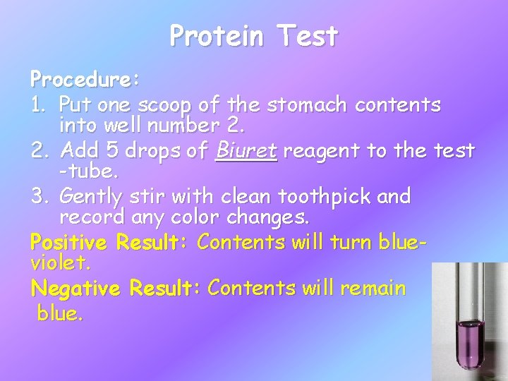 Protein Test Procedure: 1. Put one scoop of the stomach contents into well number