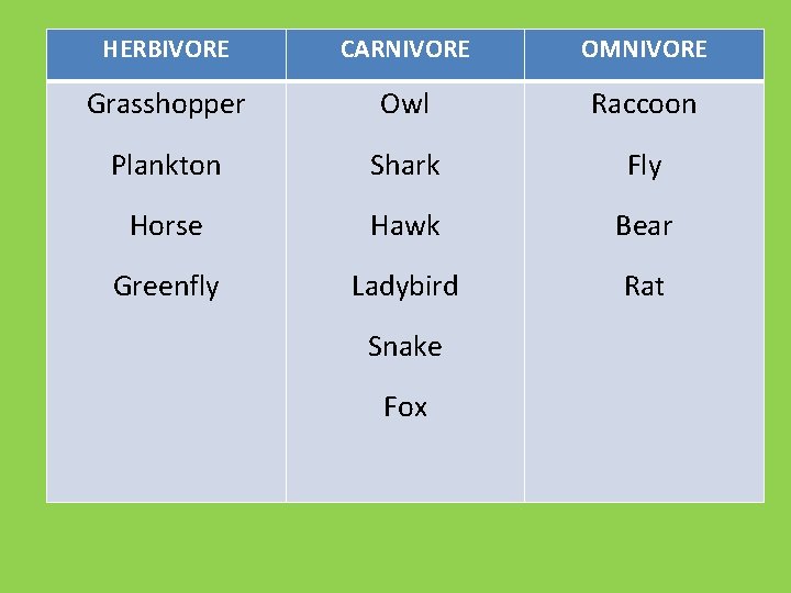 HERBIVORE CARNIVORE OMNIVORE Grasshopper Owl Raccoon Plankton Shark Fly Horse Hawk Bear Greenfly Ladybird HERBIVORE CARNIVORE OMNIVORE Grasshopper Owl Raccoon Plankton Shark Fly Horse Hawk Bear Greenfly Ladybird