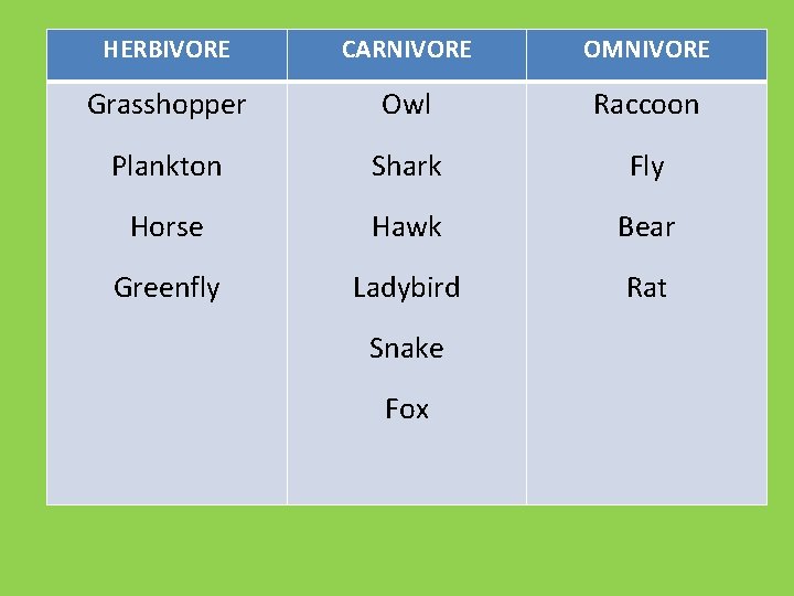 HERBIVORE CARNIVORE OMNIVORE Grasshopper Owl Raccoon Plankton Shark Fly Horse Hawk Bear Greenfly Ladybird