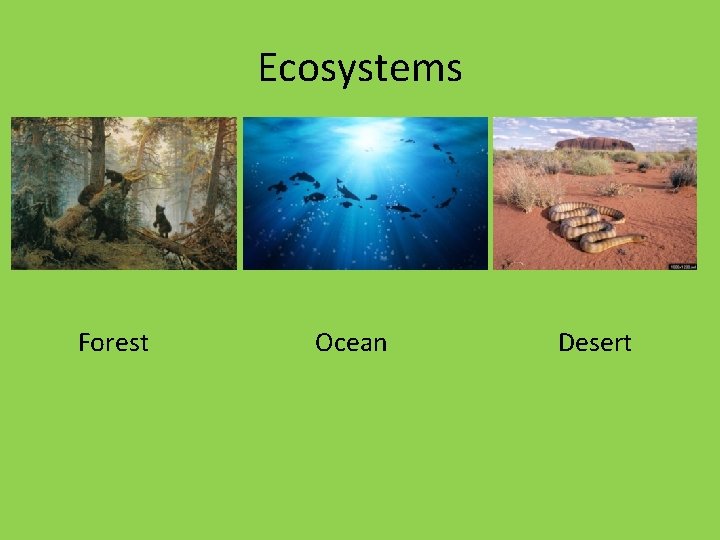 Ecosystems Forest Ocean Desert 