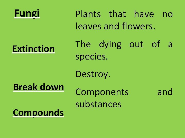 Fungi Plants that have no leaves and flowers. Extinction The dying out of a