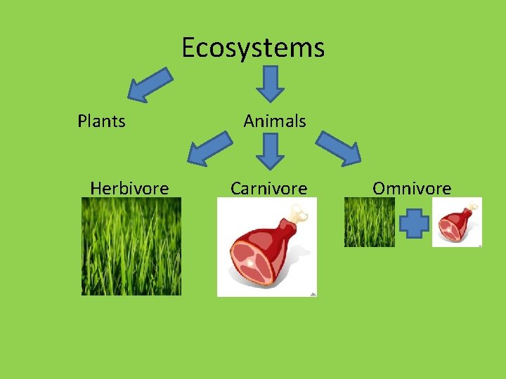 Ecosystems Plants Herbivore Animals Carnivore Omnivore Ecosystems Plants Herbivore Animals Carnivore Omnivore