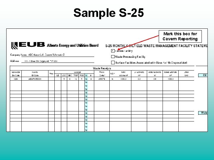 Sample S-25 Mark this box for Cavern Reporting 
