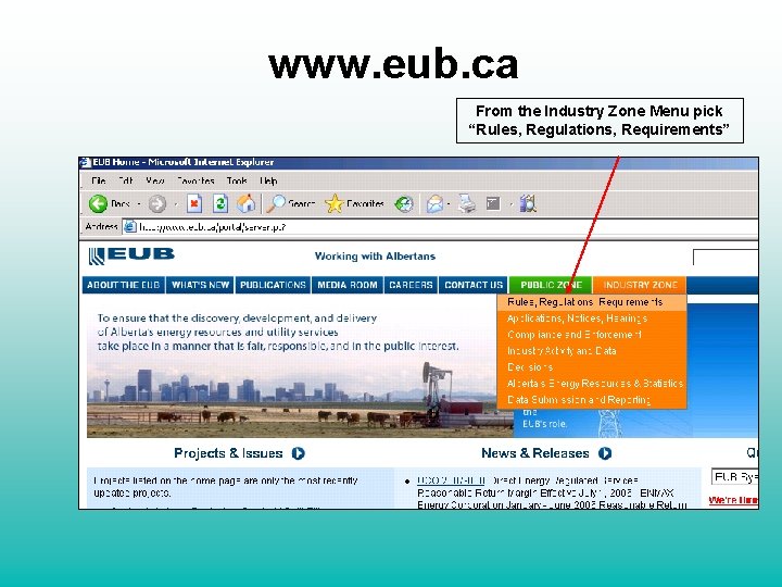 www. eub. ca From the Industry Zone Menu pick “Rules, Regulations, Requirements” 