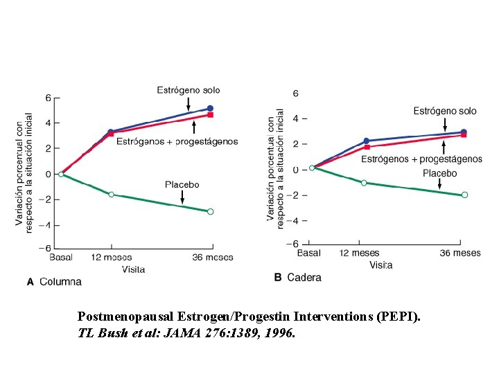 Postmenopausal Estrogen/Progestin Interventions (PEPI). TL Bush et al: JAMA 276: 1389, 1996. 
