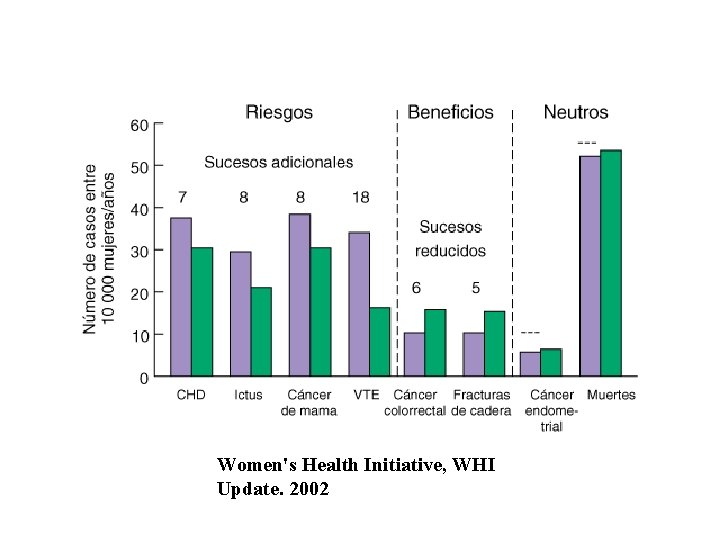 Women's Health Initiative, WHI Update. 2002 