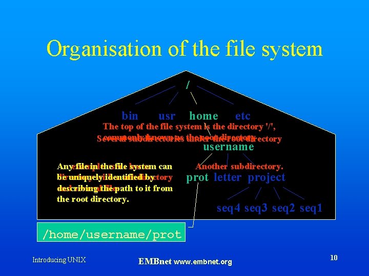 Organisation of the file system / bin usr home etc The top of the