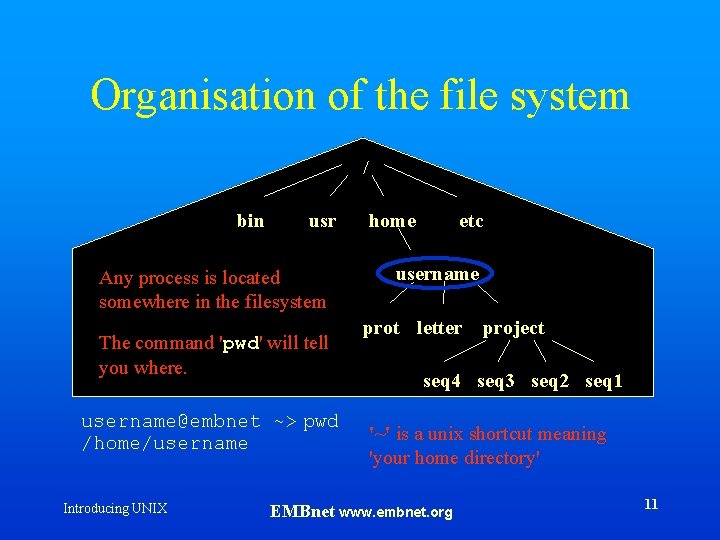 Organisation of the file system / bin usr Any process is located somewhere in
