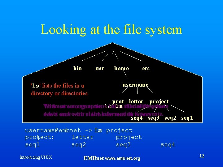 Looking at the file system / bin usr 'ls' lists the files in a
