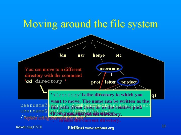 Moving around the file system / bin usr You can move to a different