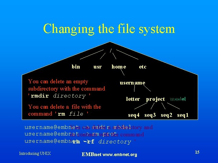 Changing the file system / bin usr You can delete an empty subdirectory with