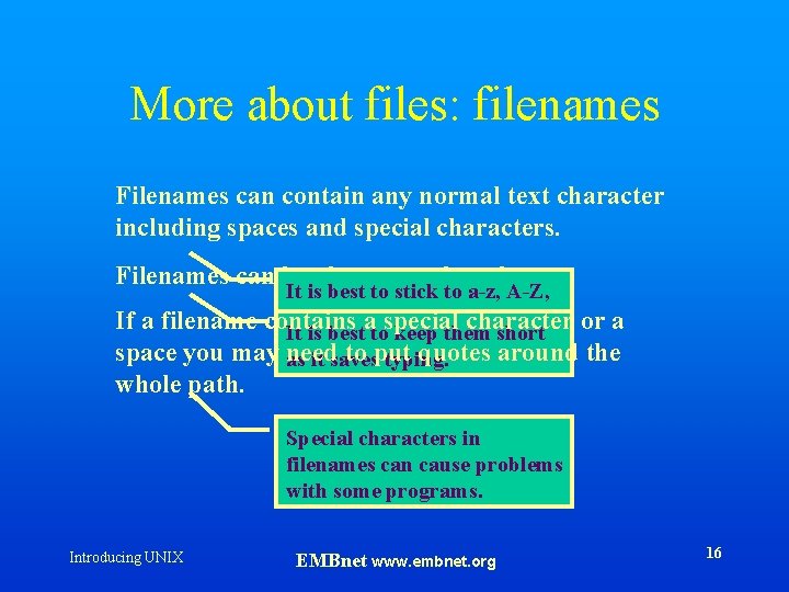 More about files: filenames Filenames can contain any normal text character including spaces and