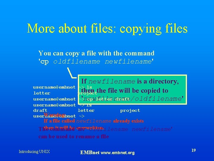 More about files: copying files You can copy a file with the command 'cp