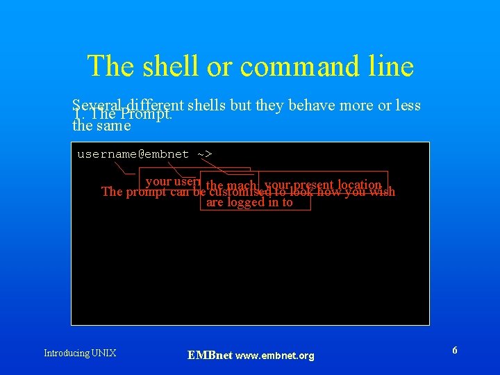 The shell or command line Several different shells but they behave more or less