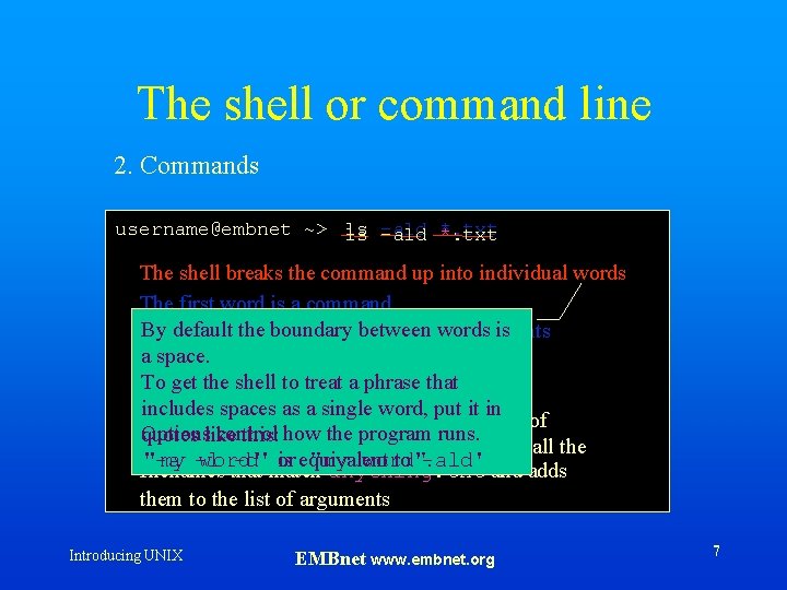 The shell or command line 2. Commands username@embnet ~> ls ls -ald *. txt
