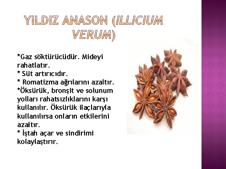 *Gaz söktürücüdür. Mideyi rahatlatır. * Süt artırıcıdır. * Romatizma ağrılarını azaltır. *Öksürük, bronşit ve