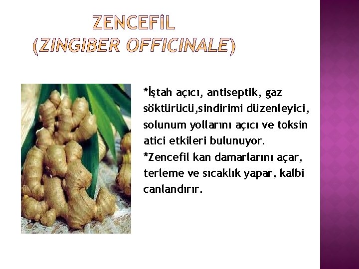 *İştah açıcı, antiseptik, gaz söktürücü, sindirimi düzenleyici, solunum yollarını açıcı ve toksin atici etkileri