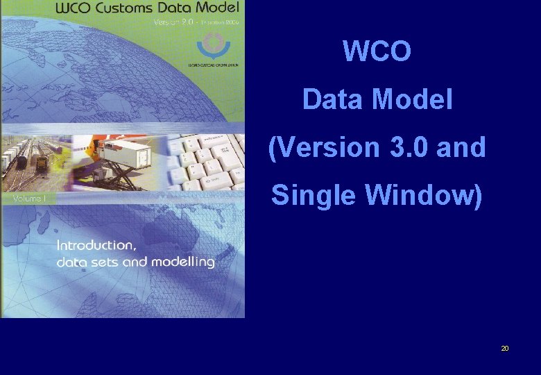 WCO Data Model (Version 3. 0 and Single Window) 20 