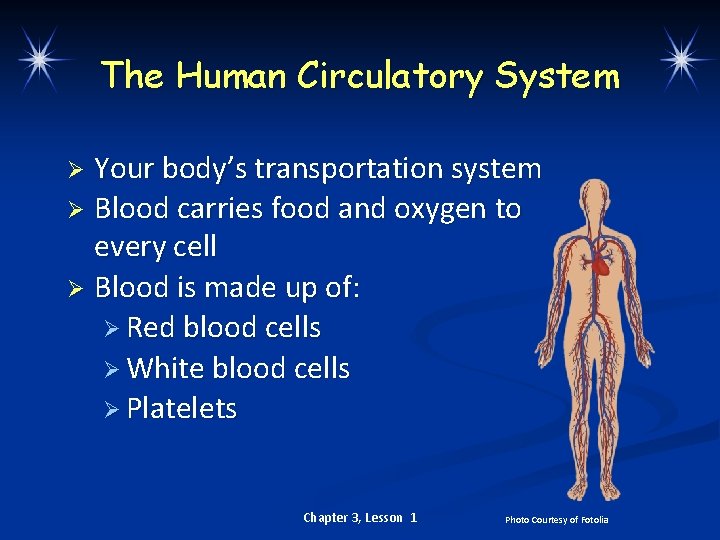 The Human Circulatory System Your body’s transportation system Ø Blood carries food and oxygen