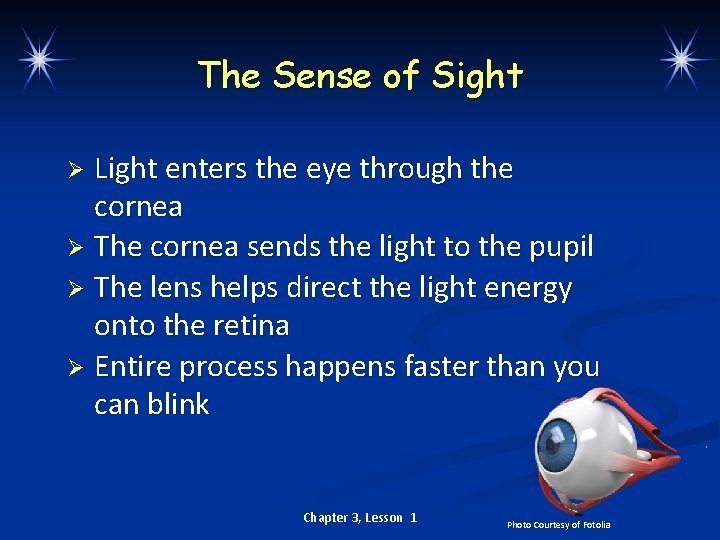 The Sense of Sight Light enters the eye through the cornea Ø The cornea