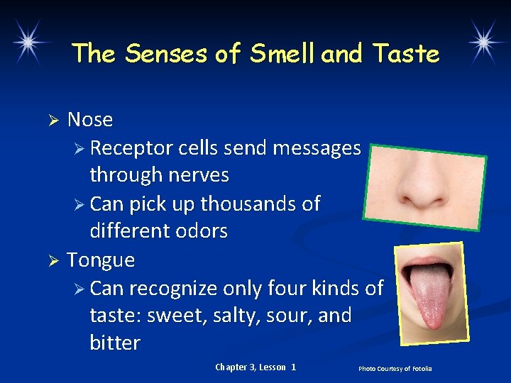 The Senses of Smell and Taste Nose Ø Receptor cells send messages through nerves