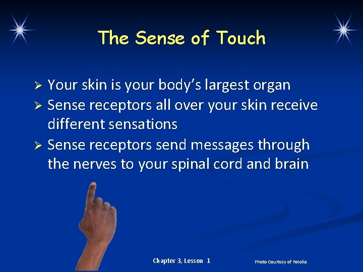 The Sense of Touch Your skin is your body’s largest organ Ø Sense receptors