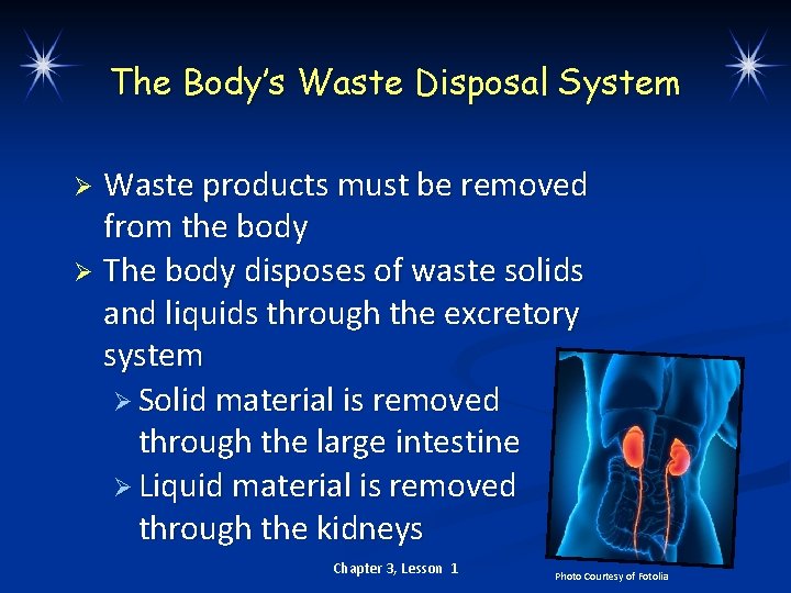 The Body’s Waste Disposal System Waste products must be removed from the body Ø