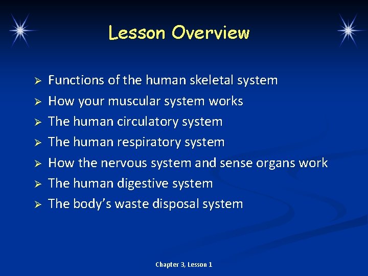 Lesson Overview Ø Ø Ø Ø Functions of the human skeletal system How your
