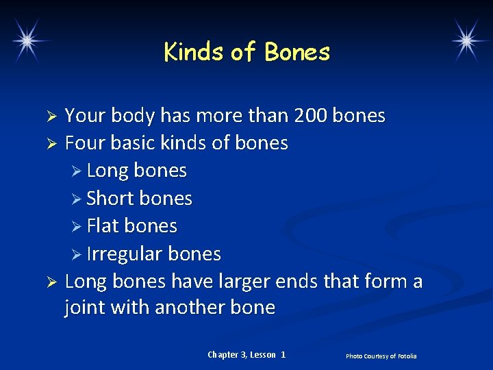 Kinds of Bones Your body has more than 200 bones Ø Four basic kinds