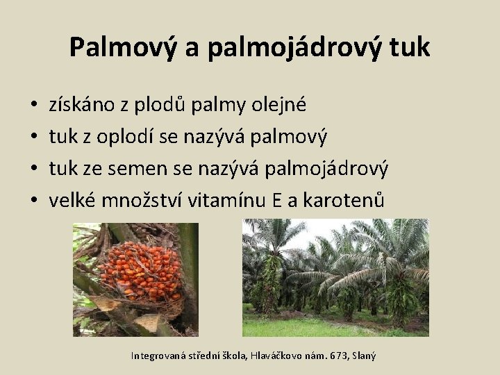 Palmový a palmojádrový tuk • • získáno z plodů palmy olejné tuk z oplodí